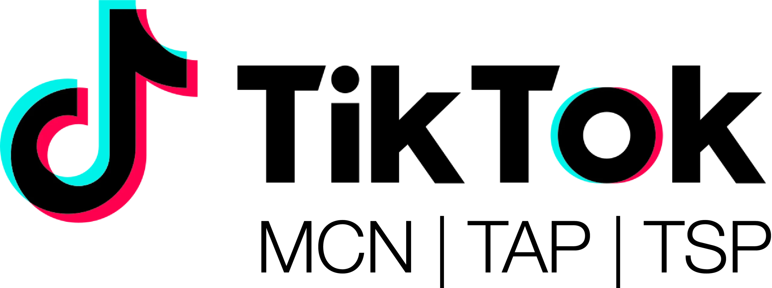 tiktok partner